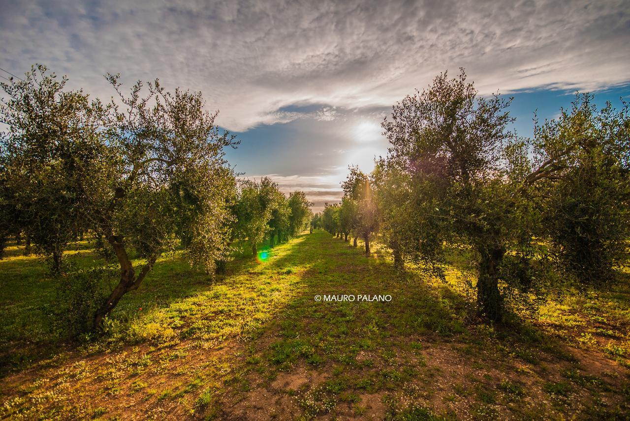 Tenuta Kyrios Borgagne Exterior foto
